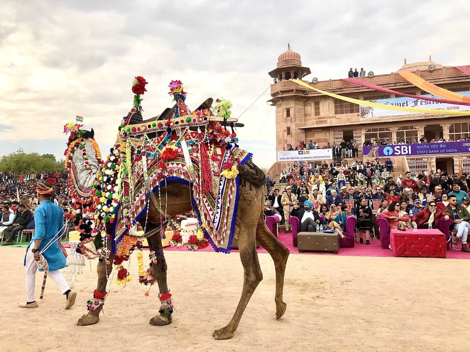 Decorated camels and their handlers at the Bikaner Camel Festival