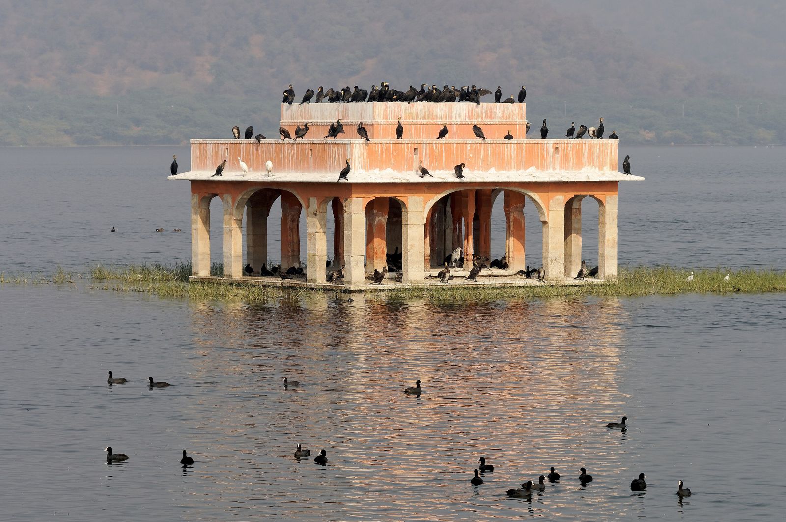 Man Sagar Lake and the Jal Mahal with the green Aravalli hills behind