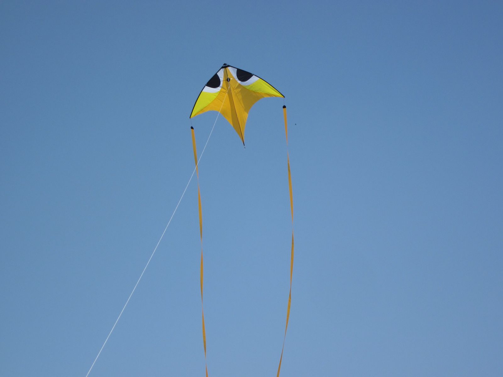 Paper kites flying over the rooftops of Jaipur's walled city on Makar Sankranti