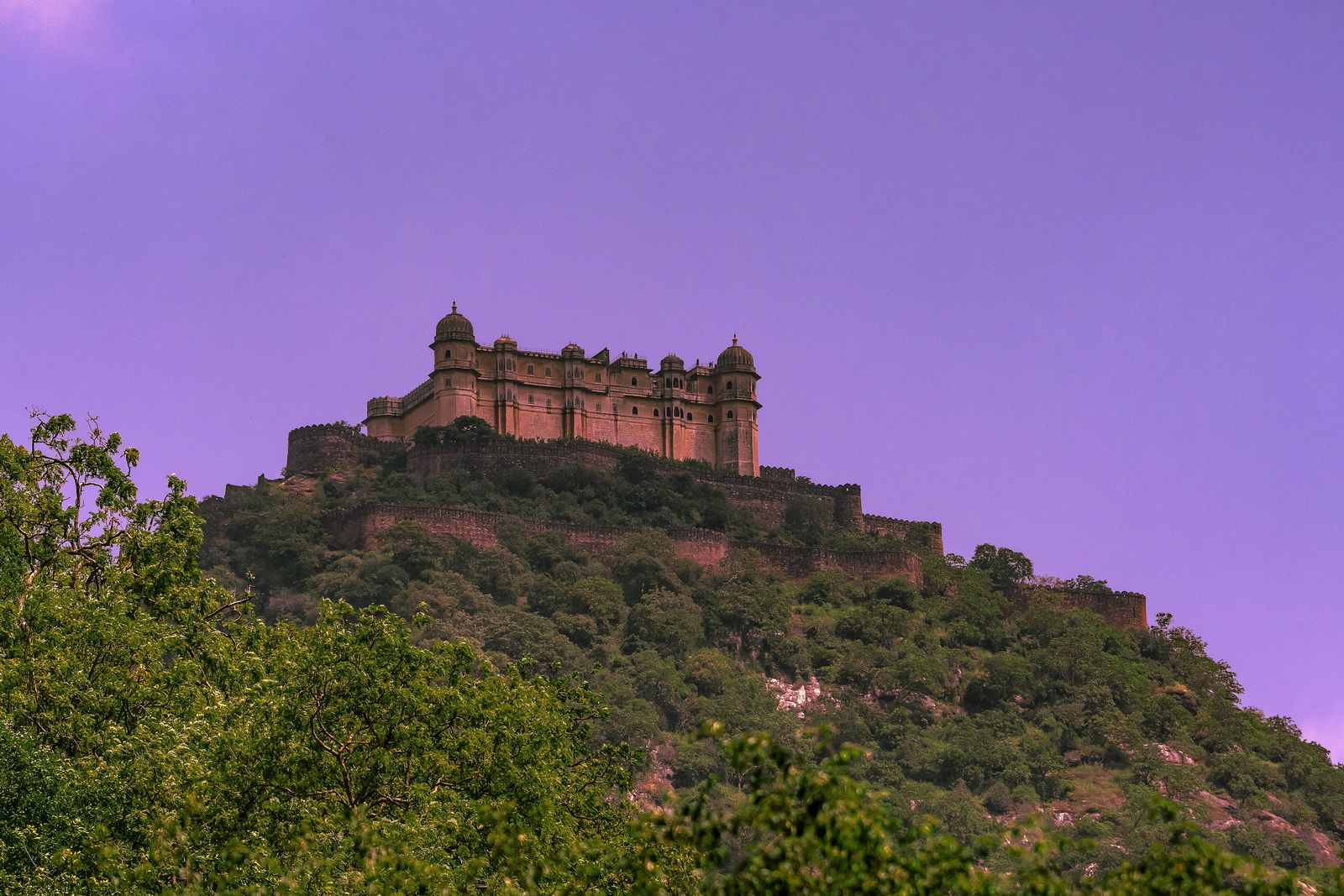 Kumbhalgarh Fort seen across the forested hills of the wildlife sanctuary
