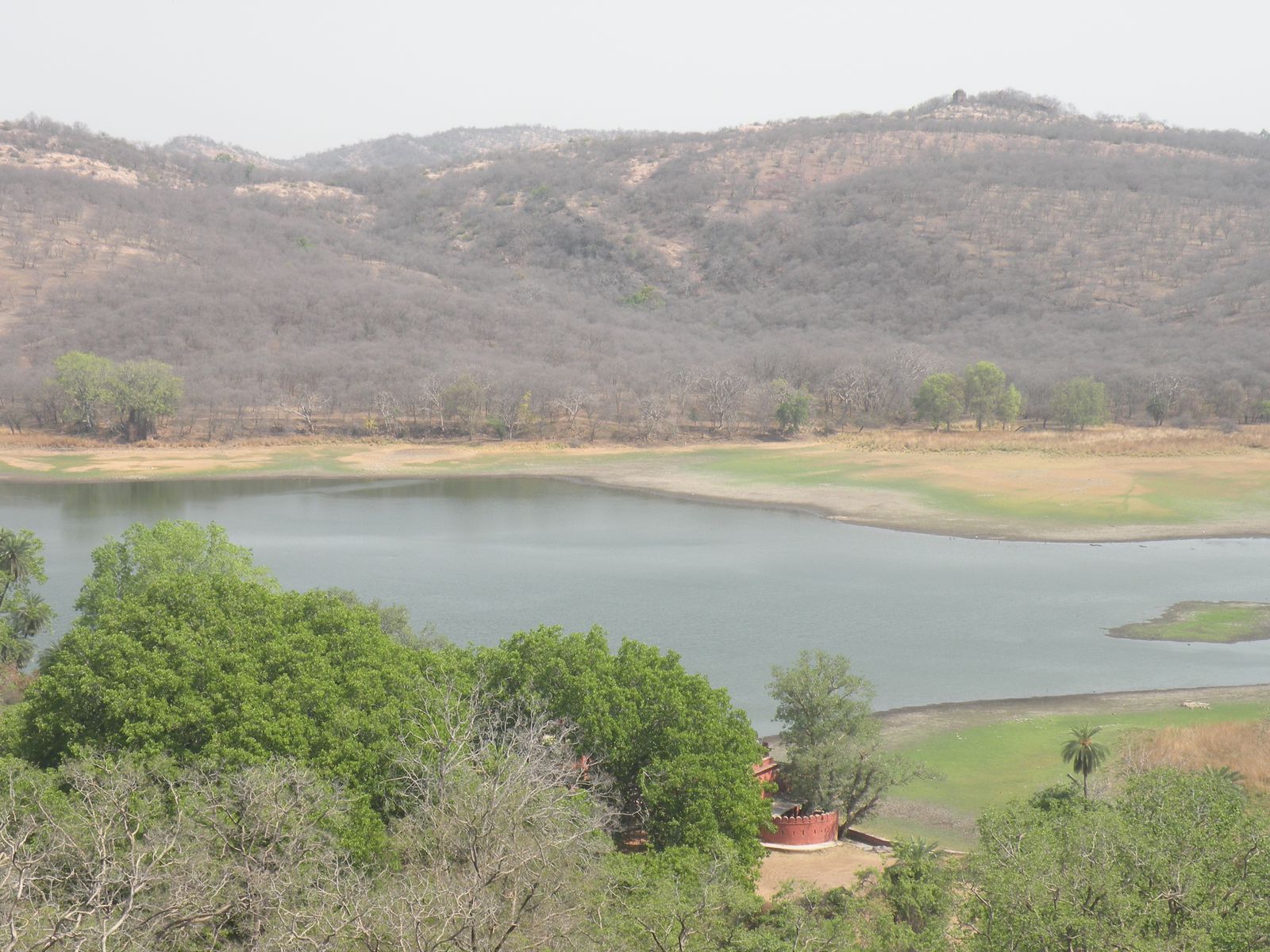 A lake below the wooded hills of Ranthambore