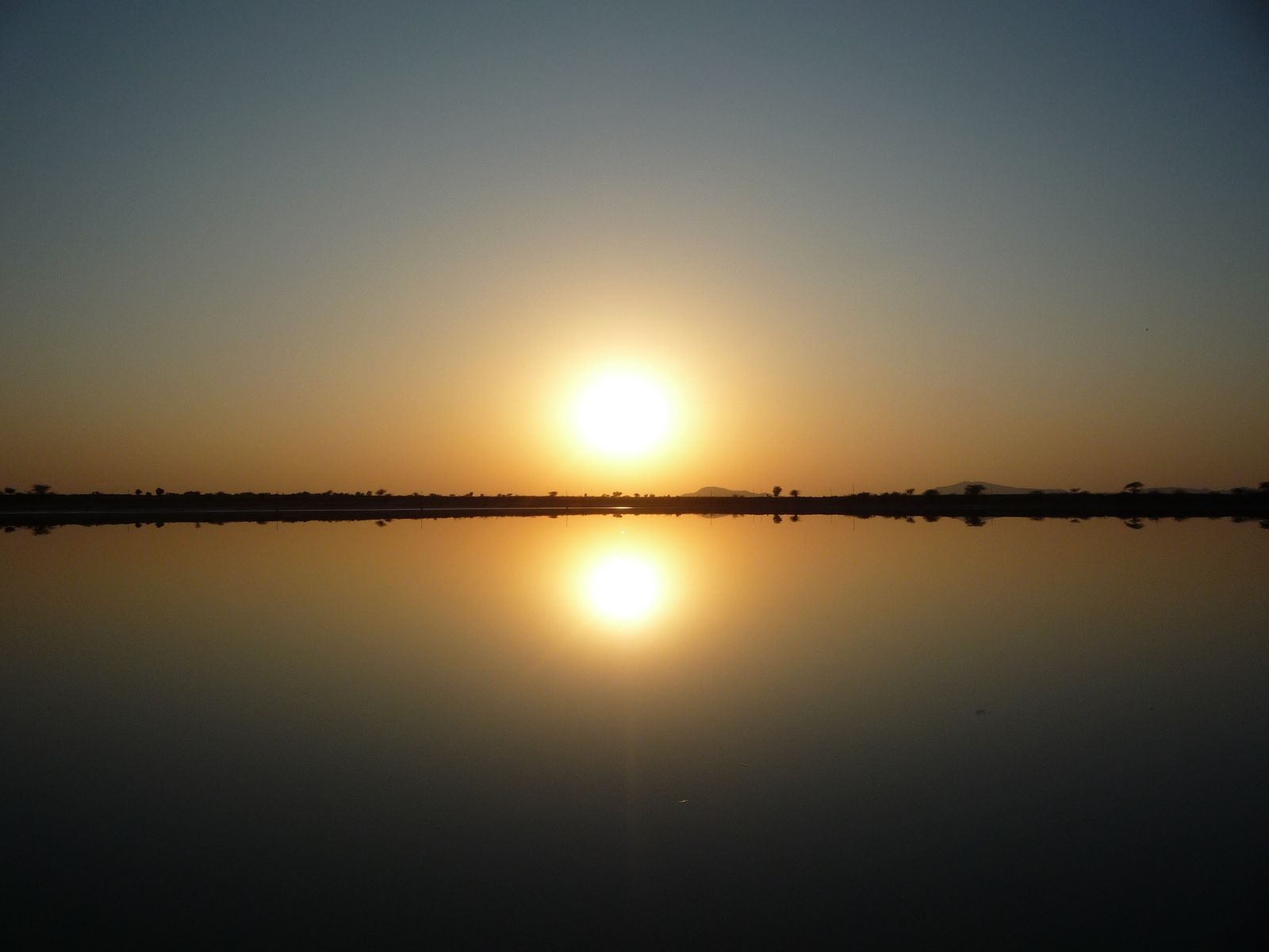 Shallow brine and white salt flats stretching to the horizon at Sambhar Lake at sunset
